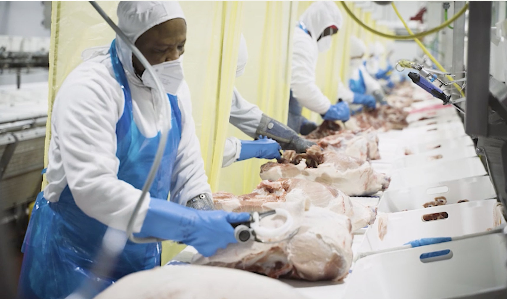 Iberian pork Spanish meat producers authorized to export white pork to China,Malaysia